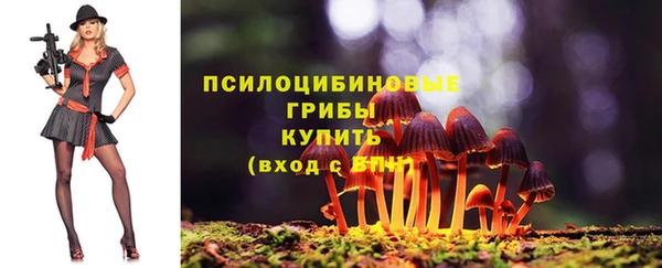 винт Медвежьегорск