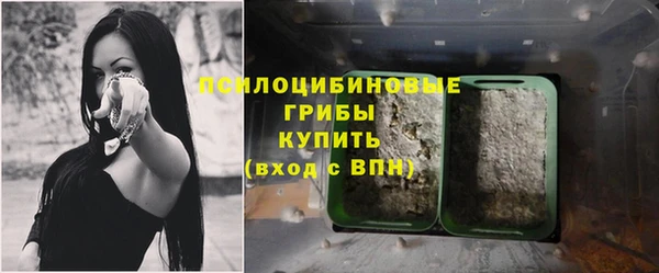 прущая мука Магадан