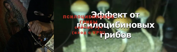 кокс Магас