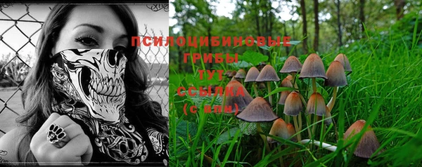 кокс Магас