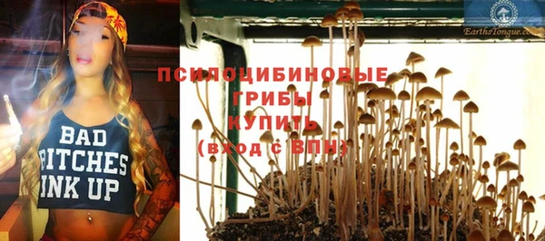 ПСИЛОЦИБИНОВЫЕ ГРИБЫ Медногорск
